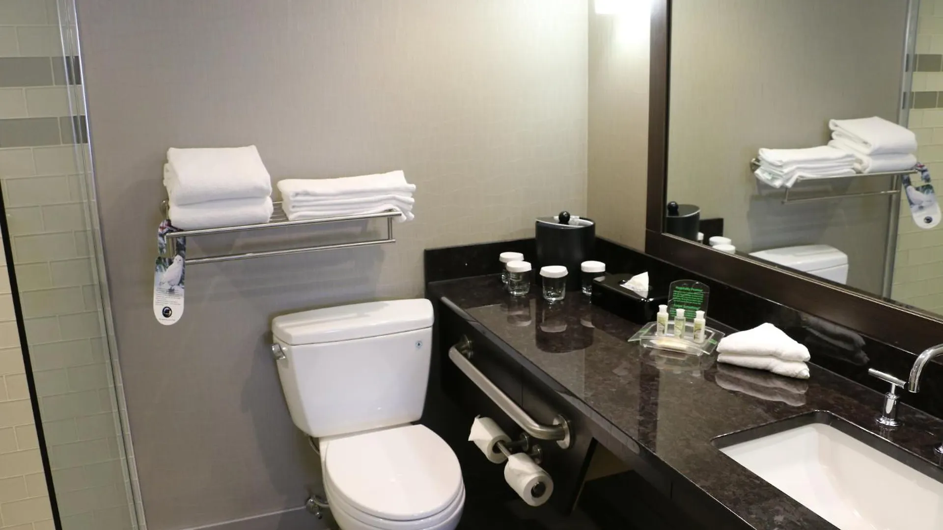 Holiday Inn Calgary Airport By Ihg 3*,